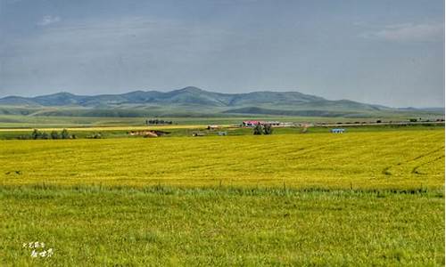 呼伦贝尔地区多卡回收市场发展趋势与机遇分析