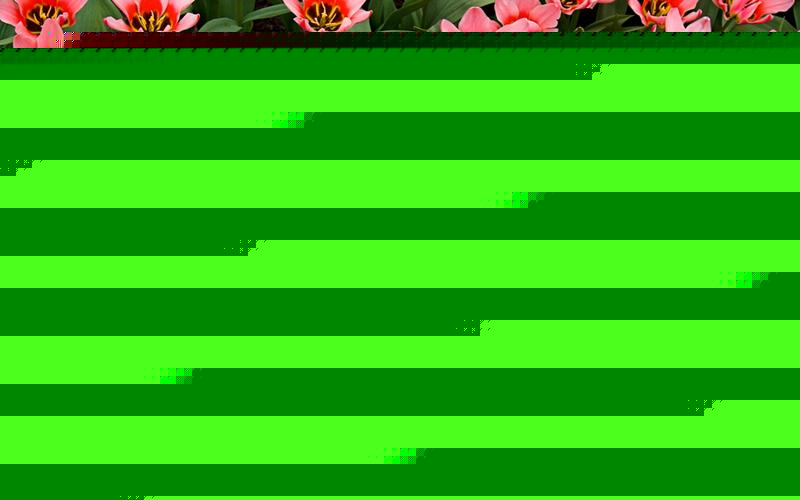 凉山彝族自治州来伊份品牌特色与发展潜力解析