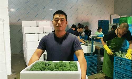 吉林省团团收的最新动态与市场前景分析