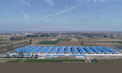 周口地区卡拉收购市场现状与前景分析