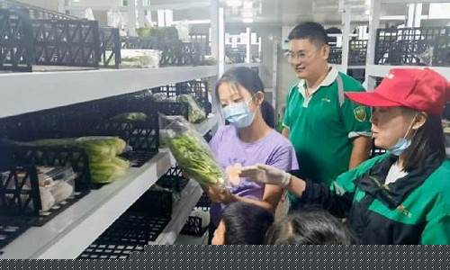 南京叮咚买菜回收服务提升绿色生活质量