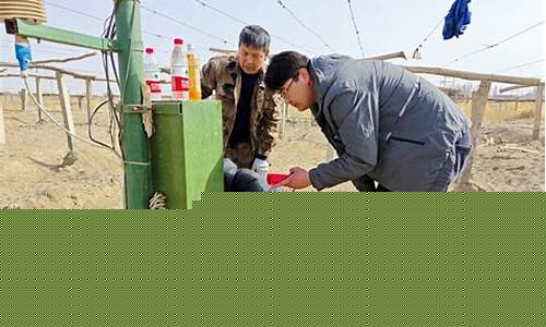 吐鲁番地区小果回收市场现状与发展前景分析