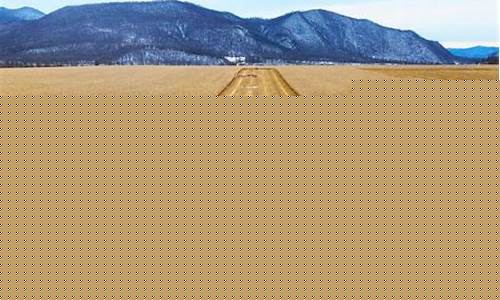 呼伦贝尔的现代发展