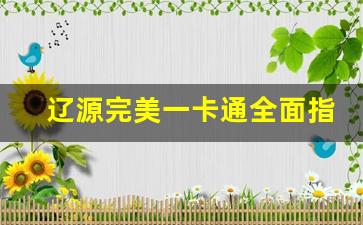 辽源完美一卡通全面指南 便捷支付与福利畅享(辽源交通一卡通官网)