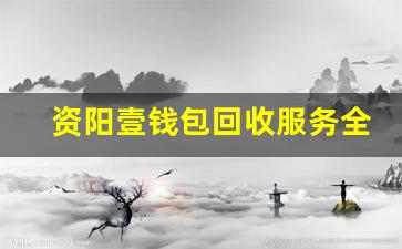 資陽(yáng)壹錢(qián)包回收服務(wù)全面解析 讓你快速變現(xiàn)錢(qián)包余額