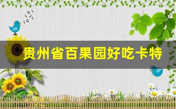 貴州省百果園好吃卡特色與優(yōu)惠攻略(貴州有百果園店面嗎)